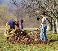 The Spirit of Giving