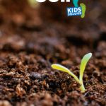 KD1: Soil