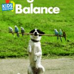 KD1: Weight & Balance
