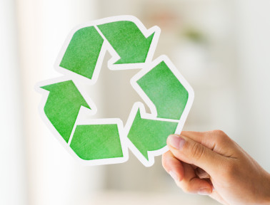 Ecology Games and Activities