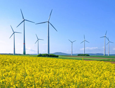Resources for Earth Day