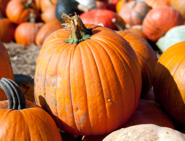 Teaching October