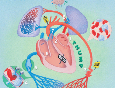 Heart Games and Activites