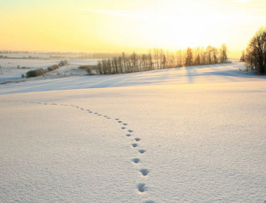 Games and Activities about Rain & Snow