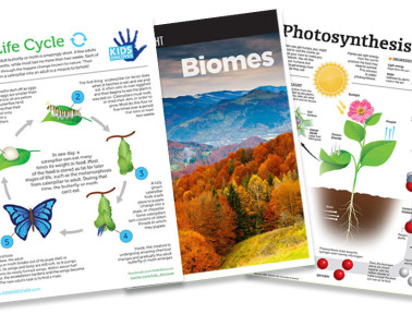 Spring Resources for the Classroom!